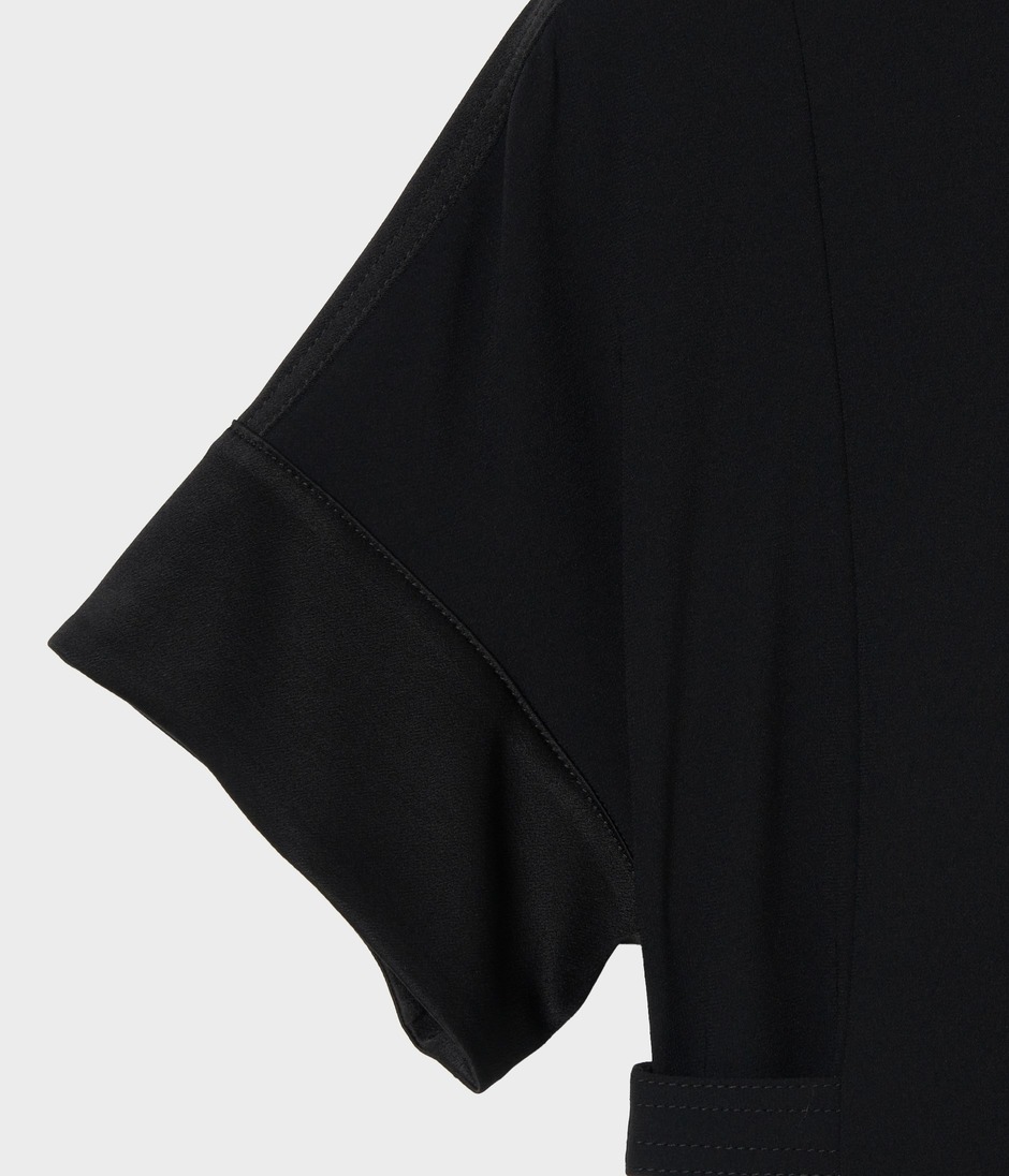 STAND COLLER HALF SLEEVE DRESS 詳細画像 BLACK 5