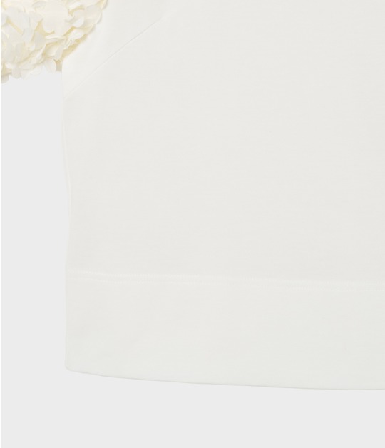 PETALS TOP 詳細画像