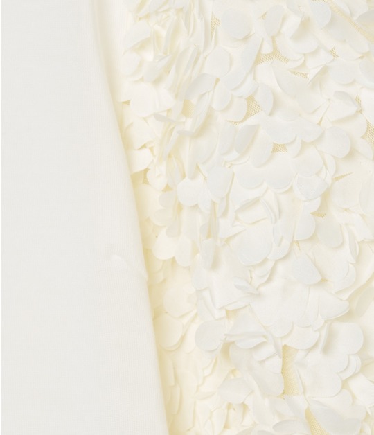 PETALS TOP 詳細画像