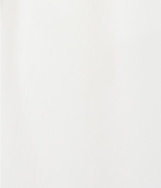 PETALS DRESS 詳細画像