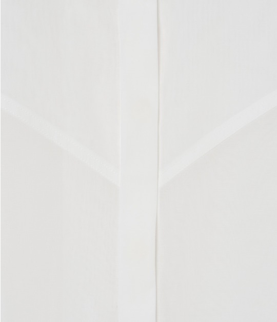 SHEER DRESS 詳細画像