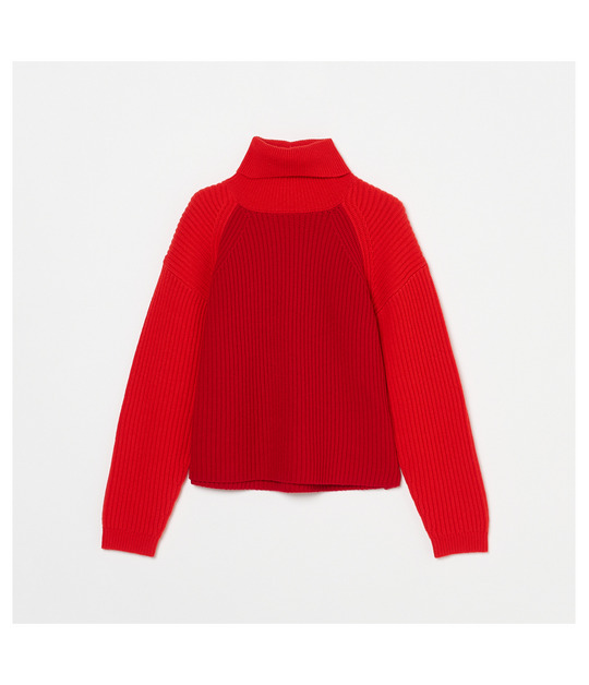 BICOLOR TURTLE NECK 