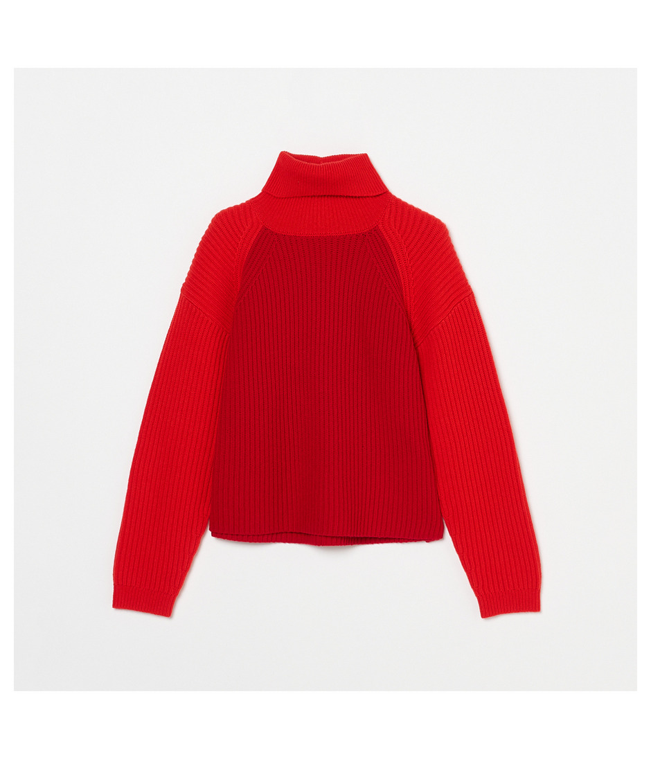 BICOLOR TURTLE NECK  詳細画像 RED 1